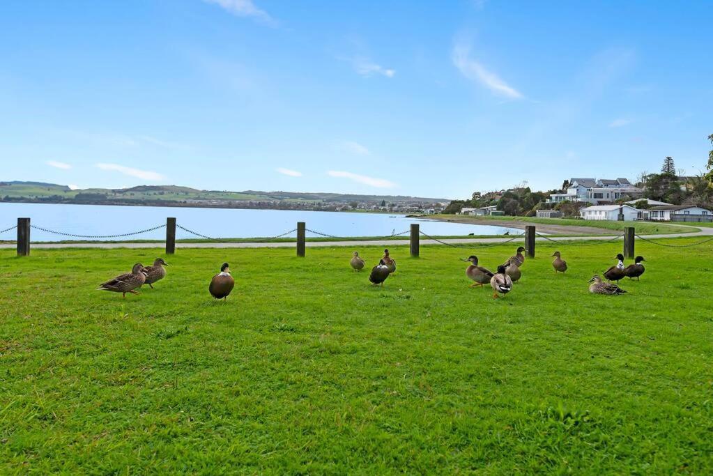 Waimahana - Luxury By The Lake Taupo Exterior photo